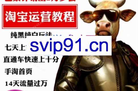 猫老师·淘系算法逆向揭秘