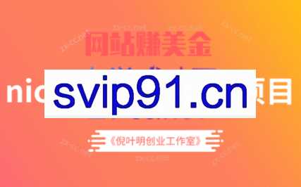 倪叶明·niche中文品牌站项目