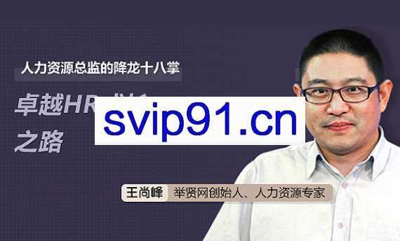 人力资源总监的降龙十八掌：卓越HR成长之路