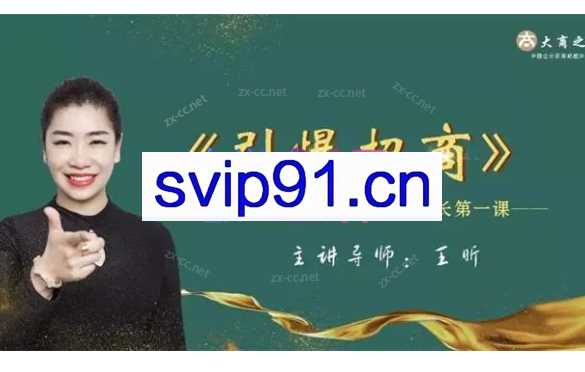 王昕《引爆招商》32集