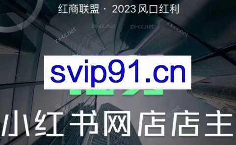红商联盟·小红书无货源电商1.0