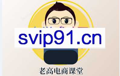 老高电商VIP课程（更新2023年4月）