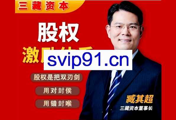 臧其超-股权设计与盈利体系 20节视频