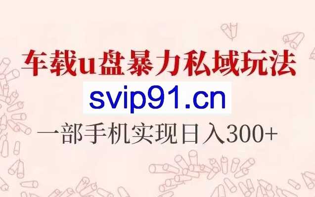 长期项目：车载u盘暴力私域玩法，仅需一部手机实现日入300+