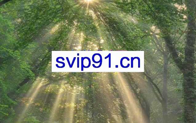 光谱最新4大小线下合集