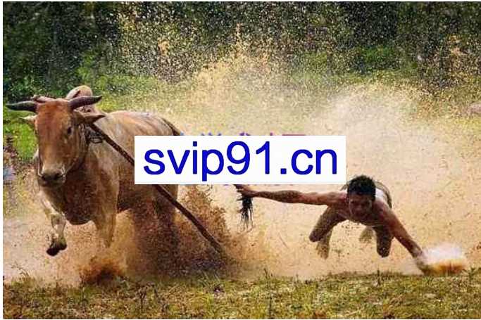 股哥训练营·只会炒股（20-23期），价值4999元