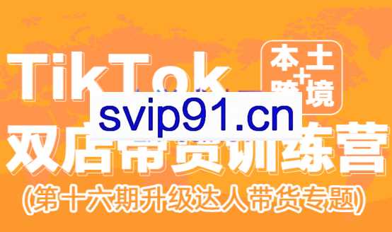 李社长·TikTok双店带货训练营（第十六期）