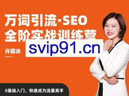 许茹冰·万词引流-SEO全阶实战训练营，价值2980元