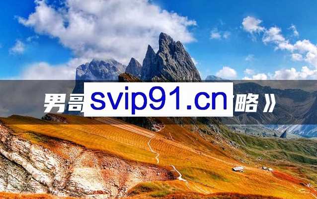 男哥《2天相亲攻略》