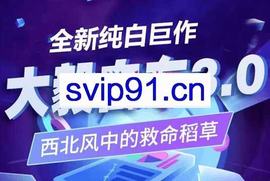 大毅电商·纯白巨作，白搜3.0，价值1480元