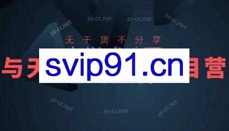 与天·掘金项目变现营