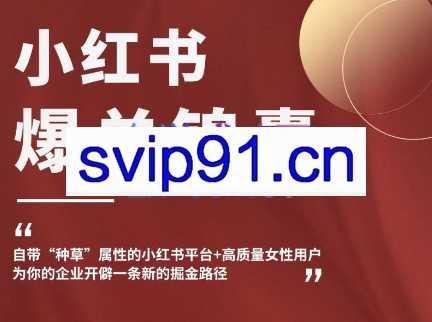无畏·小红书商家爆单锦囊，价值1280元