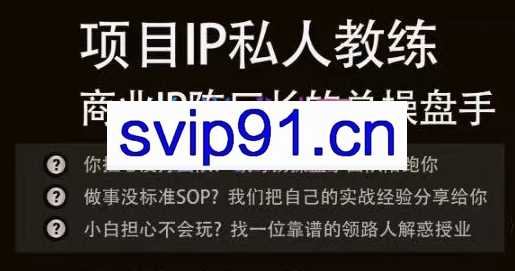 流量老炮·项目IP私人教练，价值6980元