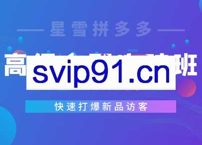 星雪教育·拼多多高级全面突破班【更新12月】