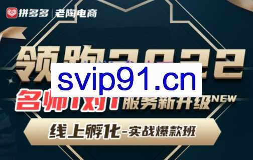 老陶·领跑2022拼多多VIP课程【更新12月】