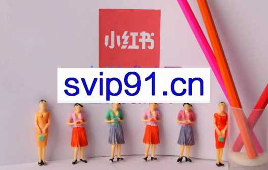 顽石·小红书电商项目，价值1999元