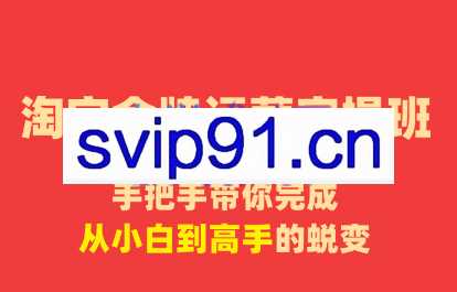 清杨老师·淘宝金牌运营实操班，价值8980元
