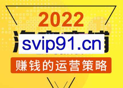 震宇老师·2022年淘宝店铺赚钱的运营策略