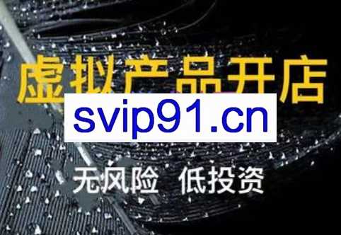 杨小基·淘宝虚拟日赚300，价值3980元