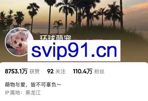 环球萌宠·抖音+tiktok+搬运+剪映，价值788元