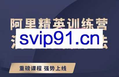 小野老师·阿里精英训练营后台实操在线视频课，价值3299元