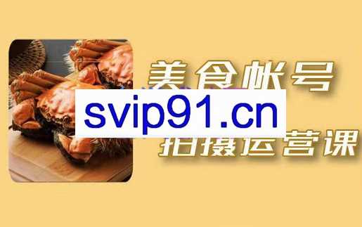 摄影钢·美食账号拍摄运营系列课，价值1680元