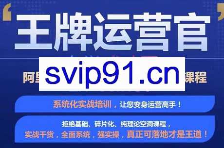 大钟·《王牌运营官》阿里巴巴国际站高级进阶系统运营精品课程，价值2988元