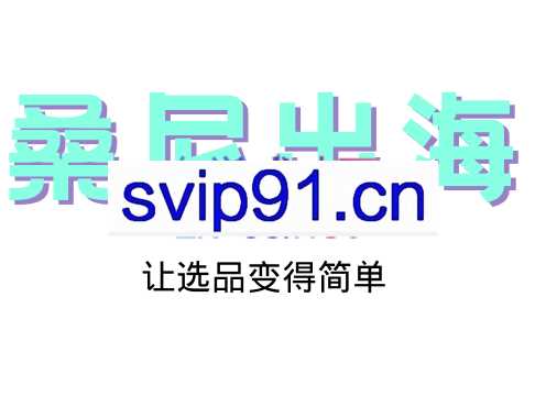桑尼出海跨境选品课，价值4999元