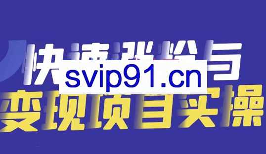 彬哥·游戏发行人项目，价值399元