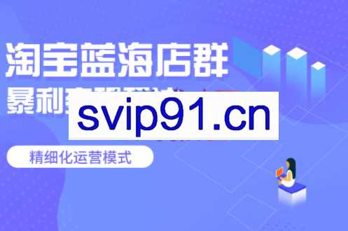 圣域商学院·淘宝蓝海店群玩法，价值3998元