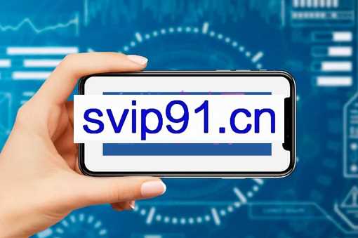 Kim·faecbook品牌营销+精准广告投放课程，价值1999元