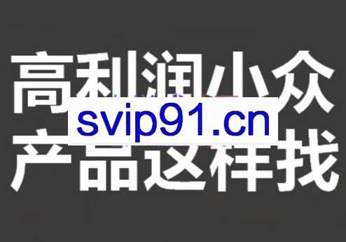 进击的恐龙电商·淘宝小众蓝海-选品方法论，价值599元