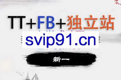 新一老师·TT+FB+独立站从0到1全流程，价值5999元