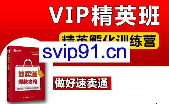 速卖通VIP课程-精英班，价值5880元
