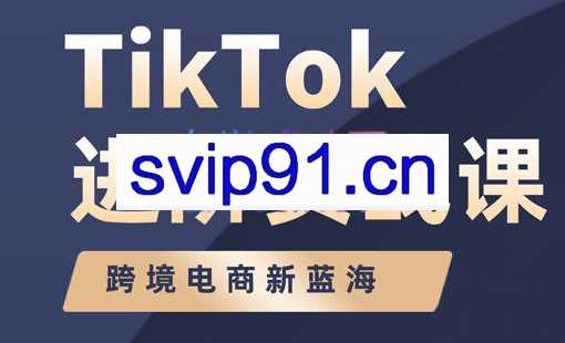 大山老师·TikTok进阶实战课
