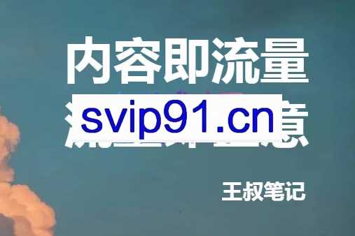 王叔·21天文案引流训练营，价值299元