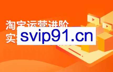 无招电商·立导私人进阶课，价值万元