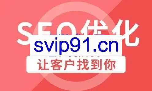 樊天华·SEO网站排名优化实战高级技法指南，价值3980元