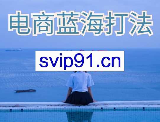 无招电商·电商蓝海打法（小白搞钱私密课），价值6688元