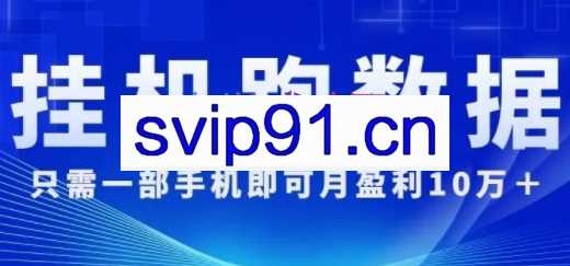 挂机跑数据，只需一部手机即可月盈利10万+，价值3988元