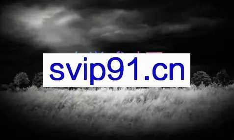 无极领域·自媒体课程第二期【高清版】，价值3300元