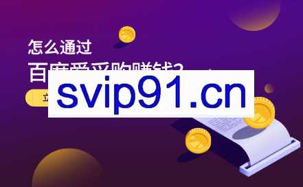 大王·怎么通过百度爱采购赚钱，价值599元