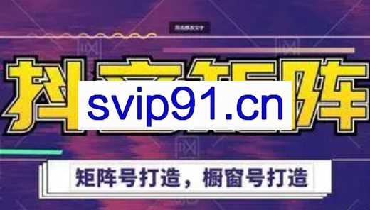 高鹏圈·抖音带货矩阵项目，价值1599