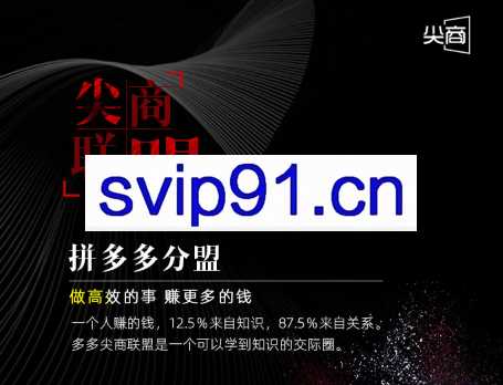 尖商联盟·拼多多分盟，价值1288元