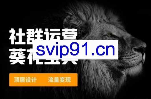 赚钱社群系统运营葵花宝典