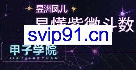 甲子学院·神棍局易懂紫微斗数，价值880元