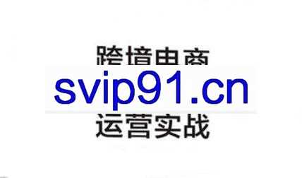 2021最新Shopify独立站新手训练营