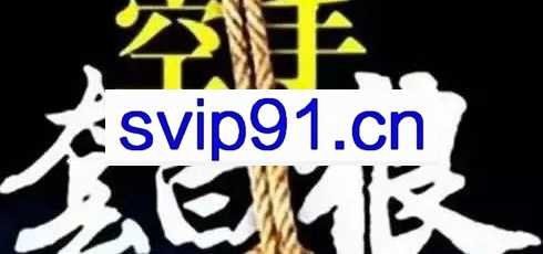 黑帽子抖音搬砖项目+南侠1987文章搬运项目