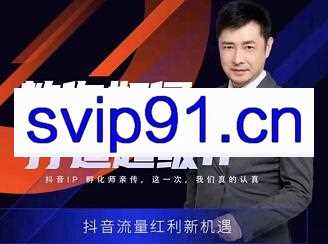 大齐老师·教你如何打造超级IP特训营，价值999元
