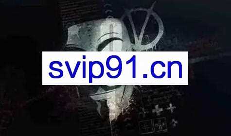 毛小白·不建站不发帖持久seo霸屏